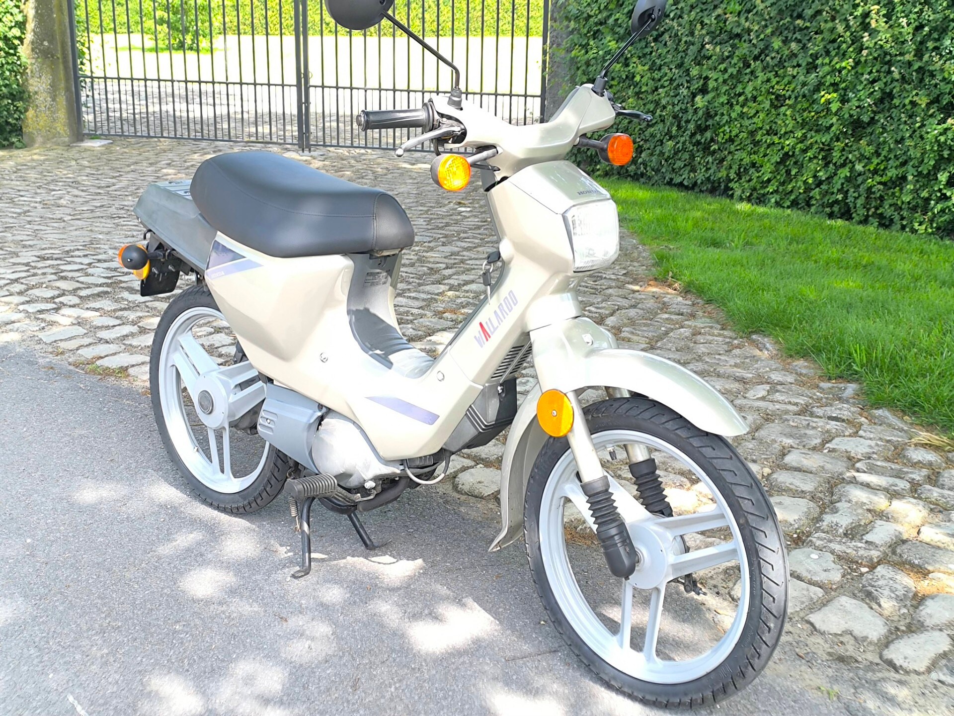 Honda Wallaroo – Klasse B